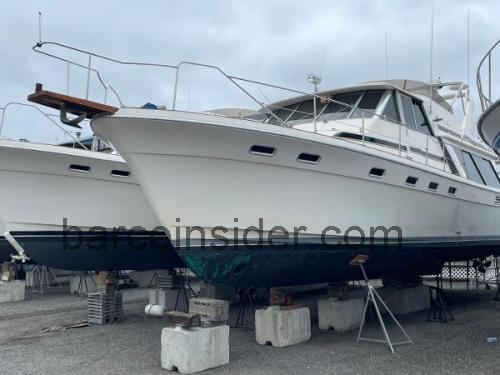 Bayliner 4588 Pilothouse ficha técnica y opiniones